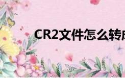 CR2文件怎么转成jpg（cr2文件）