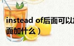 instead of后面可以加句子吗（instead of后面加什么）