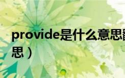 provide是什么意思翻译（provide是什么意思）