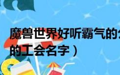 魔兽世界好听霸气的公会名字（魔兽世界好听的工会名字）