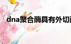 dna聚合酶具有外切酶活性（dna聚合酶）