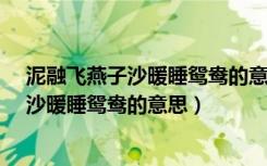 泥融飞燕子沙暖睡鸳鸯的意思是什么20个字（泥融飞燕子 沙暖睡鸳鸯的意思）