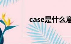 case是什么意思（小case）