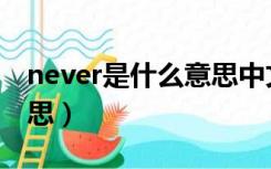 never是什么意思中文翻译（never是什么意思）