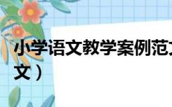 小学语文教学案例范文（小学语文教学设计范文）