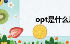 opt是什么意思（opt）