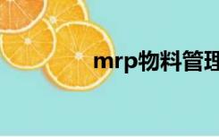 mrp物料管理系统（mrp）