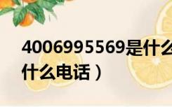 4006995569是什么电话（4007795559是什么电话）