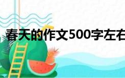 春天的作文500字左右（春天的作文300字）