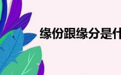 缘份跟缘分是什么意思（缘份）