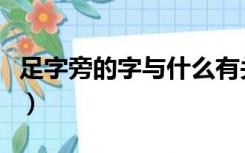 足字旁的字与什么有关最佳答案（足字旁的字）