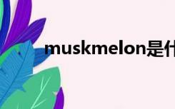 muskmelon是什么意思（musk）