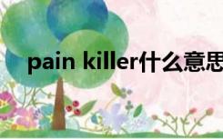 pain killer什么意思（pain是什么意思）