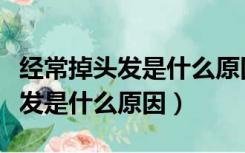 经常掉头发是什么原因女性吃什么（经常掉头发是什么原因）