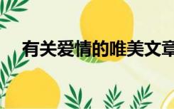 有关爱情的唯美文章（有关爱情的文章）