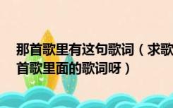 那首歌里有这句歌词（求歌词 终于你做了别人的小三 是那首歌里面的歌词呀）