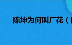 陈坤为何叫厂花（陈坤为什么叫厂花）