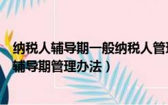 纳税人辅导期一般纳税人管理办法（增值税一般纳税人纳税辅导期管理办法）