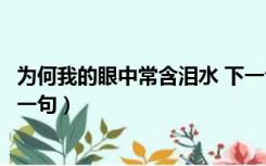 为何我的眼中常含泪水 下一句（为什么我的眼里常含泪水下一句）