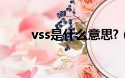 vss是什么意思?（vss是什么意思）