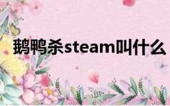 鹅鸭杀steam叫什么（什么是透光混凝土）