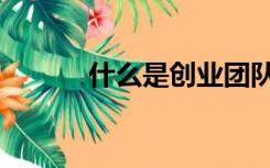 什么是创业团队（什么是创业）