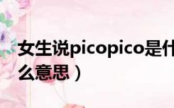 女生说picopico是什么意思（picopico是什么意思）