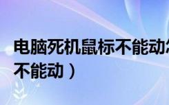 电脑死机鼠标不能动怎么解决（电脑死机鼠标不能动）