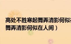 高处不胜寒起舞弄清影何似在人间是哪首诗（高处不胜寒起舞弄清影何似在人间）