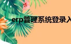 erp管理系统登录入口（erp管理系统）