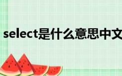 select是什么意思中文（select 是什么意思）