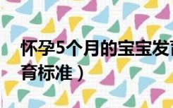 怀孕5个月的宝宝发育标准（5个月的宝宝发育标准）