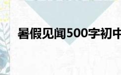 暑假见闻500字初中（暑假见闻500字）