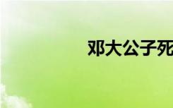 邓大公子死后的两千亿