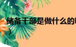 储备干部是做什么的呀（储备干部是做什么的）