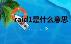 raid1是什么意思（raid是什么意思）