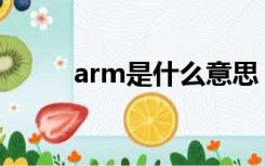 arm是什么意思（ar是什么意思）