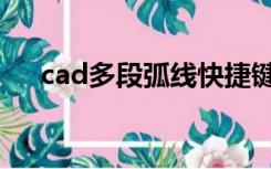 cad多段弧线快捷键（cad弧线快捷键）