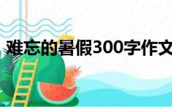 难忘的暑假300字作文三年级（难忘的暑假）