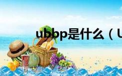 ubbp是什么（UBB代码是什么）