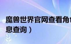 魔兽世界官网查看角色信息（魔兽世界角色信息查询）