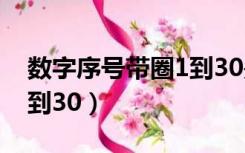 数字序号带圈1到30是什么（数字序号带圈1到30）