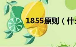 1855原则（什么是1855法则）