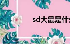 sd大鼠是什么（sd大鼠）