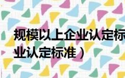 规模以上企业认定标准3000万（规模以上企业认定标准）