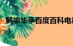 鹤唳华亭百度百科电视剧（鹤唳华亭百度百科）