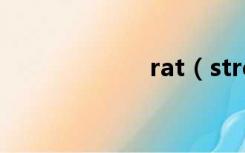 rat（stress out）