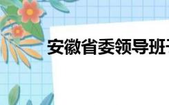 安徽省委领导班子（常务副省长）