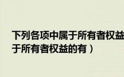 下列各项中属于所有者权益的有a股本溢价（下列各项中属于所有者权益的有）