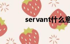 servant什么意思（servant）